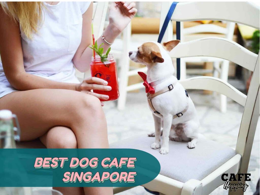 best dog cafe in sg 2022