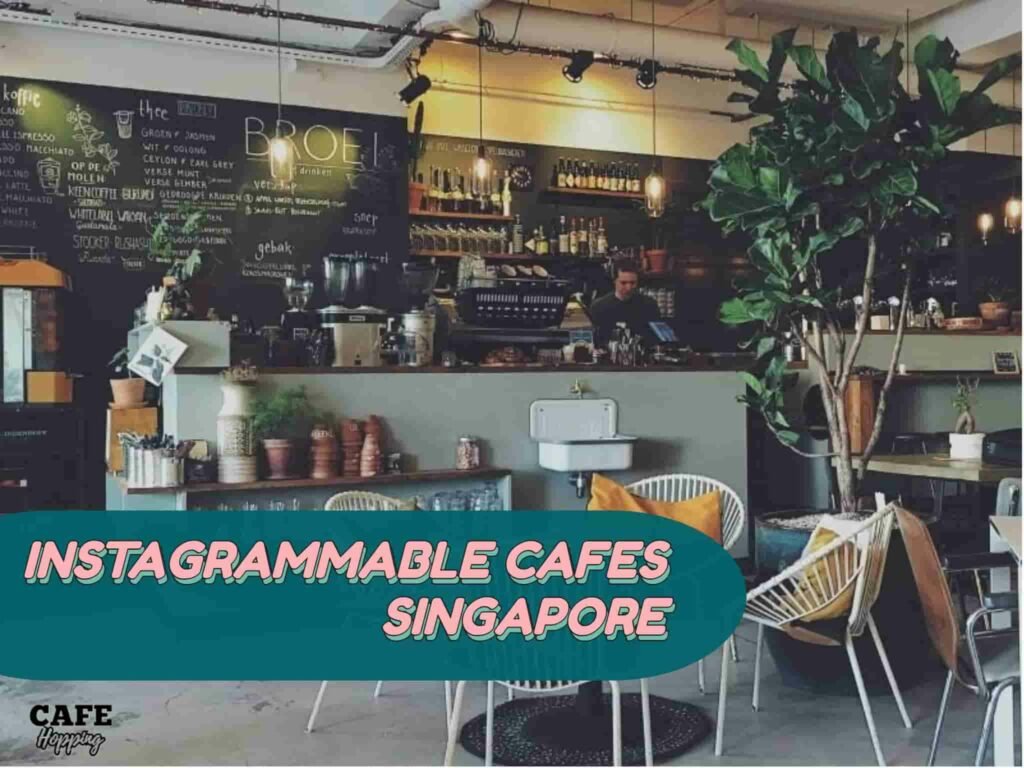 instagrammable cafe in singapore