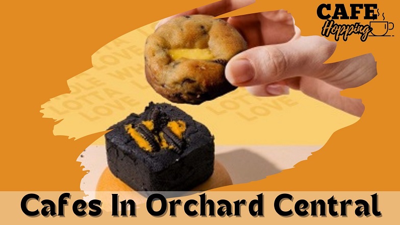 Cafes In Orchard Central, Best cafes in orchard central, affordable cafes in orchard, instagrammable cafe in orchard, orchard cafes 2023, best cafe in orchard, quiet cafes in orchard, equate coffee, ps.cafe orchard,